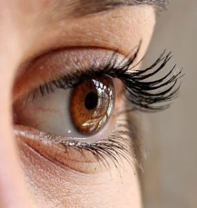 eye